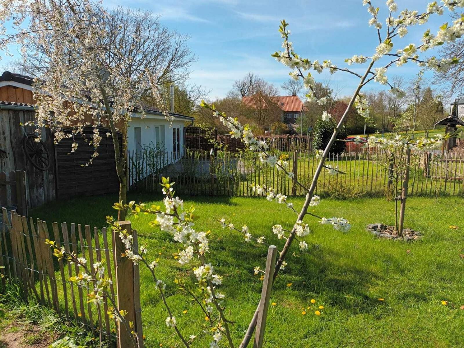 Apfelhof Villa Grundshagen Bilik gambar